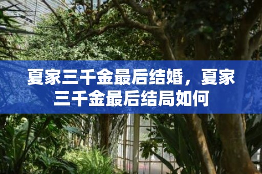 夏家三千金最后结婚，夏家三千金最后结局如何