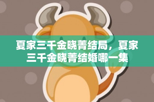 夏家三千金晓菁结局，夏家三千金晓菁结婚哪一集
