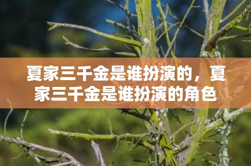 夏家三千金是谁扮演的，夏家三千金是谁扮演的角色