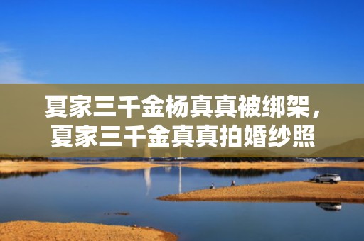 夏家三千金杨真真被绑架，夏家三千金真真拍婚纱照