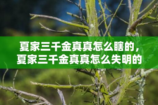 夏家三千金真真怎么瞎的，夏家三千金真真怎么失明的