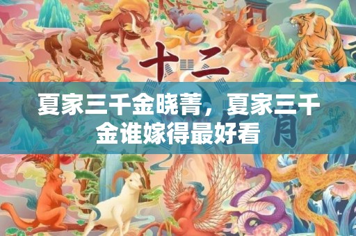 夏家三千金晓菁，夏家三千金谁嫁得最好看