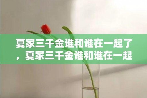 夏家三千金谁和谁在一起了，夏家三千金谁和谁在一起过