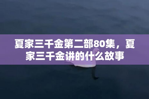 夏家三千金第二部80集，夏家三千金讲的什么故事