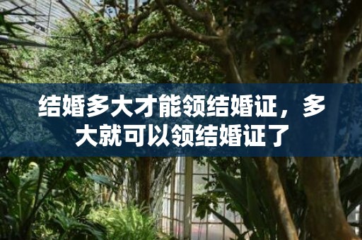 结婚多大才能领结婚证，多大就可以领结婚证了