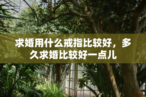 求婚用什么戒指比较好，多久求婚比较好一点儿