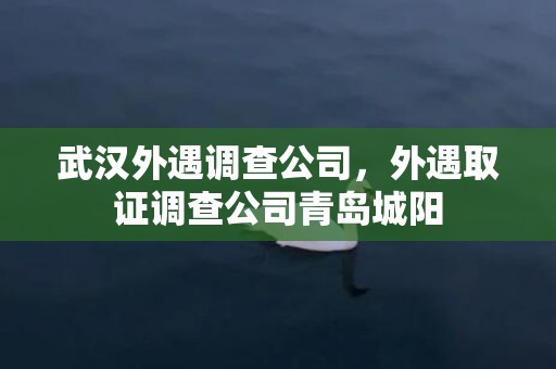武汉外遇调查公司，外遇取证调查公司青岛城阳