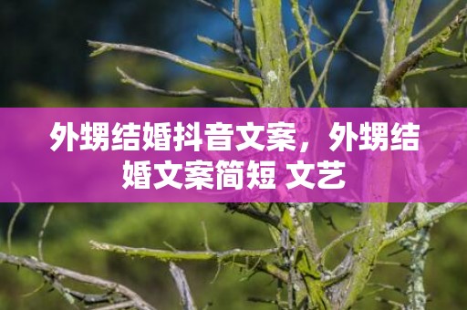 外甥结婚抖音文案，外甥结婚文案简短 文艺