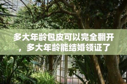 多大年龄包皮可以完全翻开，多大年龄能结婚领证了