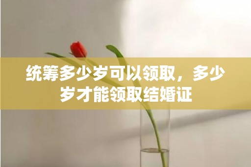 统筹多少岁可以领取，多少岁才能领取结婚证
