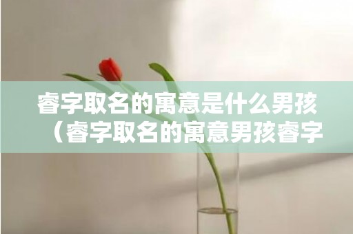 睿字取名的寓意是什么男孩（睿字取名的寓意男孩睿字取名的寓意和含义）