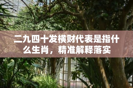 二九四十发横财代表是指什么生肖，精准解释落实
