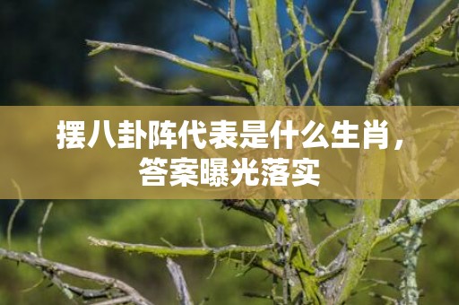 摆八卦阵代表是什么生肖，答案曝光落实