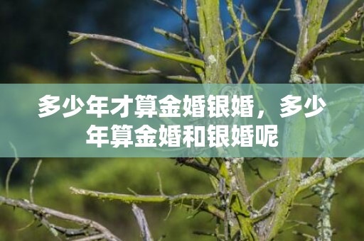 多少年才算金婚银婚，多少年算金婚和银婚呢