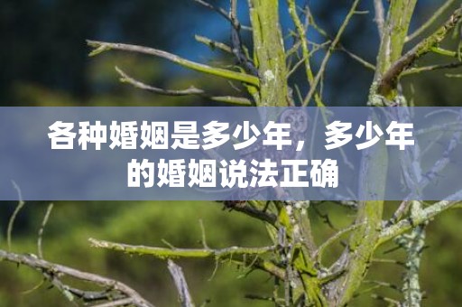 各种婚姻是多少年，多少年的婚姻说法正确