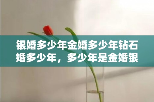 银婚多少年金婚多少年钻石婚多少年，多少年是金婚银婚40年