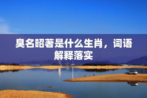 臭名昭著是什么生肖，词语解释落实