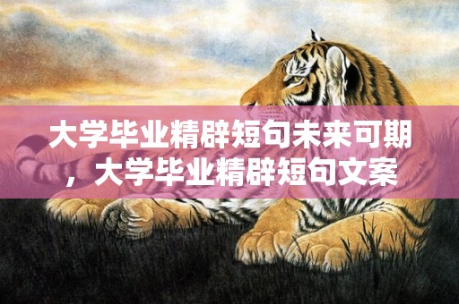 大学毕业精辟短句未来可期，大学毕业精辟短句文案