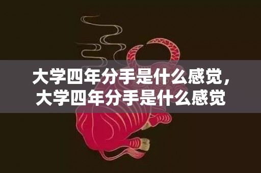大学四年分手是什么感觉，大学四年分手是什么感觉