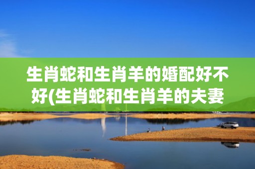 生肖蛇和生肖羊的婚配好不好(生肖蛇和生肖羊的夫妻适合养鱼吗?)