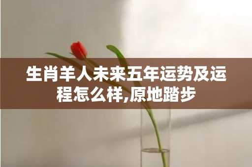 生肖羊人未来五年运势及运程怎么样,原地踏步