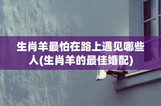 生肖羊最怕在路上遇见哪些人(生肖羊的最佳婚配)