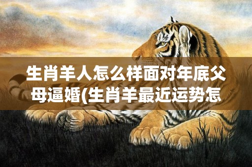 生肖羊人怎么样面对年底父母逼婚(生肖羊最近运势怎么样)