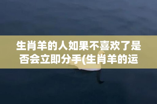生肖羊的人如果不喜欢了是否会立即分手(生肖羊的运势)