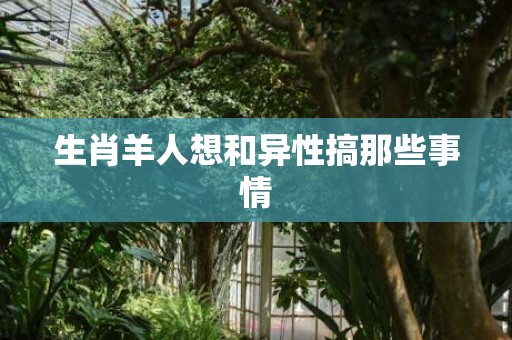 生肖羊人想和异性搞那些事情