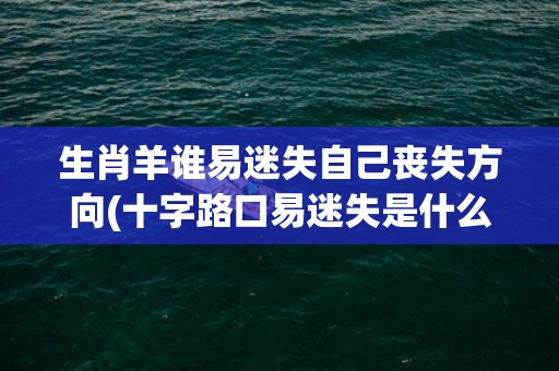 生肖羊谁易迷失自己丧失方向(十字路口易迷失是什么生肖)