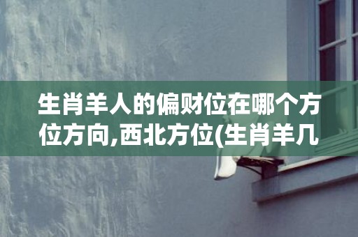 生肖羊人的偏财位在哪个方位方向,西北方位(生肖羊几月份有偏财)