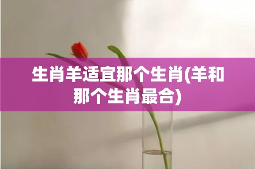 生肖羊适宜那个生肖(羊和那个生肖最合)