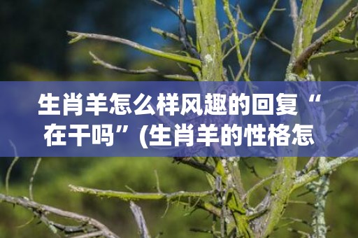 生肖羊怎么样风趣的回复“在干吗”(生肖羊的性格怎么样)