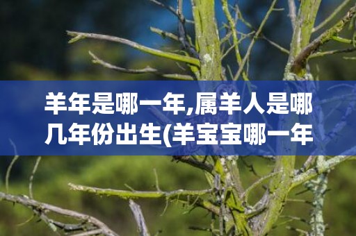 羊年是哪一年,属羊人是哪几年份出生(羊宝宝哪一年)
