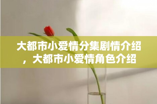 大都市小爱情分集剧情介绍，大都市小爱情角色介绍