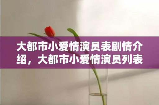 大都市小爱情演员表剧情介绍，大都市小爱情演员列表