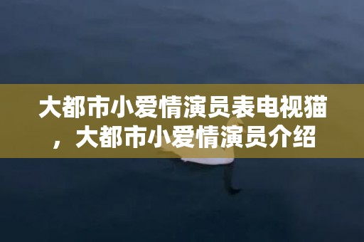 大都市小爱情演员表电视猫，大都市小爱情演员介绍