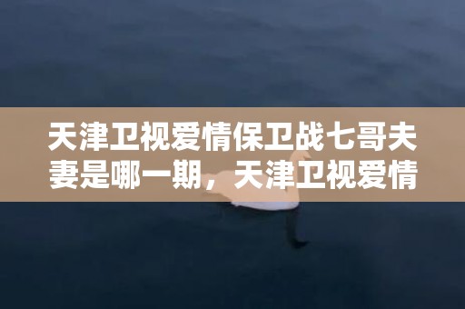 天津卫视爱情保卫战七哥夫妻是哪一期，天津卫视爱情保卫战电话