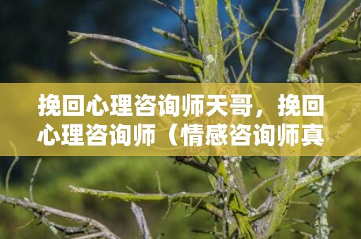 挽回心理咨询师天哥，挽回心理咨询师（情感咨询师真的可以帮你挽回婚姻吗）