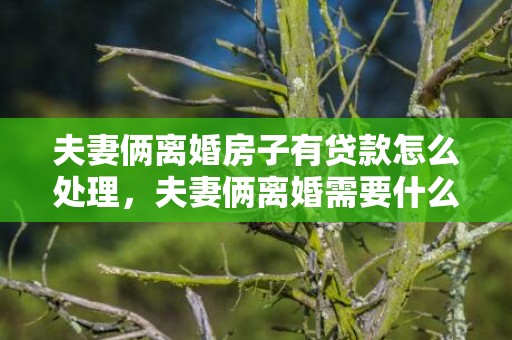 夫妻俩离婚房子有贷款怎么处理，夫妻俩离婚需要什么手续