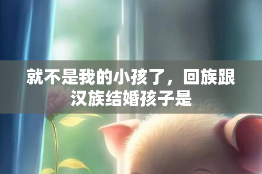 就不是我的小孩了，回族跟汉族结婚孩子是