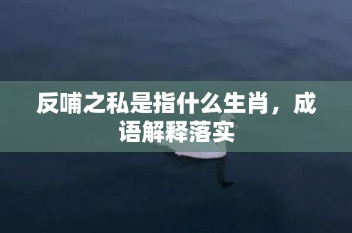 反哺之私是指什么生肖，成语解释落实