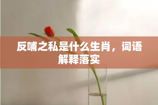 反哺之私是什么生肖，词语解释落实