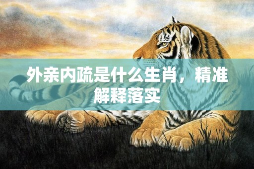外亲内疏是什么生肖，精准解释落实