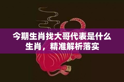 今期生肖找大哥代表是什么生肖，精准解析落实