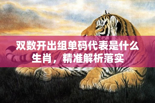双数开出组单码代表是什么生肖，精准解析落实