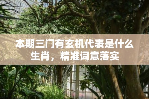 本期三门有玄机代表是什么生肖，精准词意落实