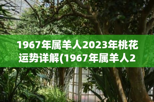 1967年属羊人2023年桃花运势详解(1967年属羊人2023年全年运势详解)