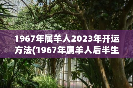 1967年属羊人2023年开运方法(1967年属羊人后半生的命运)