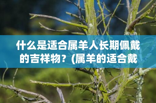 什么是适合属羊人长期佩戴的吉祥物？(属羊的适合戴什么首饰)